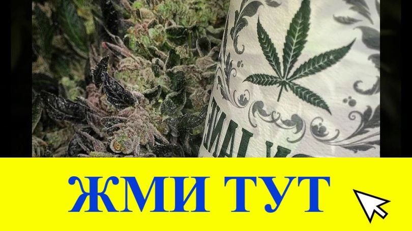 Купить наркотики в Вичуге